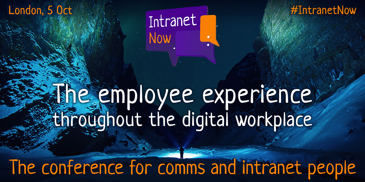 The employee experience throughout the digital workplace.
